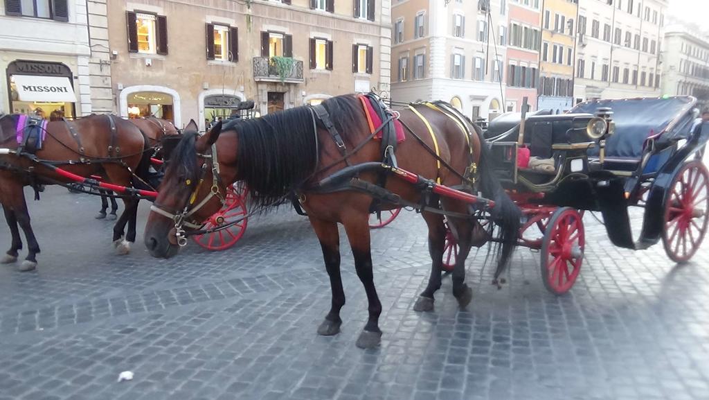 Bed And Breakfast Adduci'S House Rome Bagian luar foto
