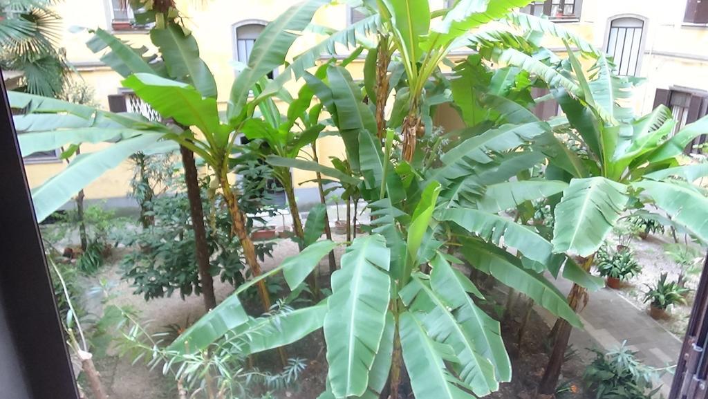 Bed And Breakfast Adduci'S House Rome Bagian luar foto